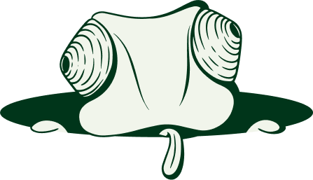 Chamaeleon Coming Out of Hole